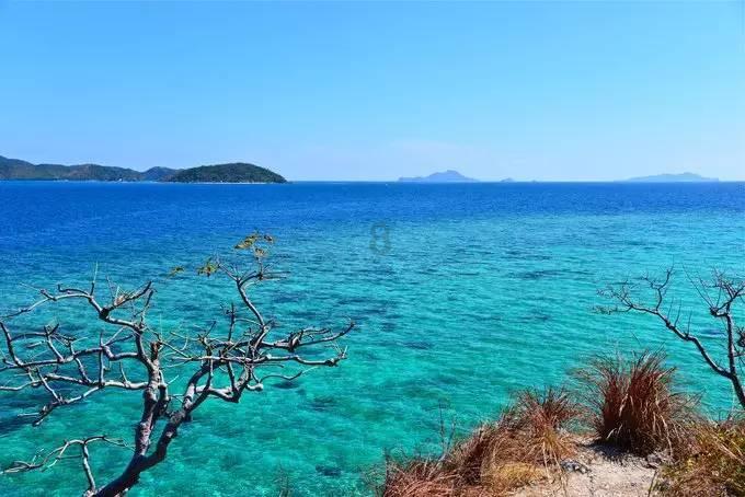 海盗的寻宝之旅