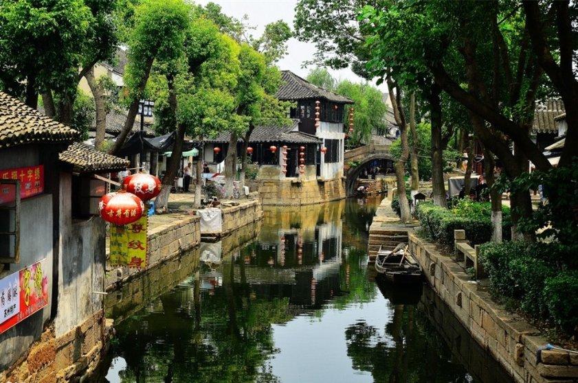奔跑的兔子